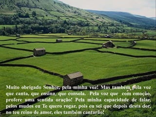 Muito obrigado Senhor, pela minha voz! Mas também pela voz
que canta, que ensina, que consola. Pela voz que com emoção,
profere uma sentida oração! Pela minha capacidade de falar,
pelos mudos eu Te quero rogar, pois eu sei que depois desta dor,
no teu reino de amor, eles também cantarão!
 