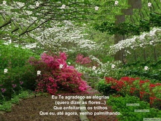 Eu Te agradeço as alegrias (quero dizer as flores...) Que enfeitaram os trilhos Que eu, até agora, venho palmilhando. 
