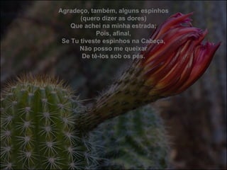 Agradeço, também, alguns espinhos (quero dizer as dores) Que achei na minha estrada; Pois, afinal, Se Tu tiveste espinhos na Cabeça, Não posso me queixar De tê-los sob os pés. 