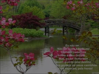 Eu não sei... Não sei quais hão de ser Os meus caminhos nem o meu destino... Mas, eu sei muito bem Quem guarda esse destino  E Quem protege os meus caminhos Que me esperam, pela frente! 