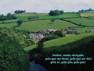 Senhor, muito obrigado,  pelo que me deste, pelo que me dás! pelo ar, pelo pão, pela paz! 