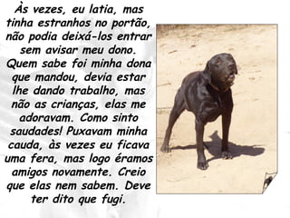 Às vezes, eu latia, mas tinha estranhos no portão, não podia deixá-los entrar sem avisar meu dono. Quem sabe foi minha dona que mandou, devia estar lhe dando trabalho, mas não as crianças, elas me adoravam. Como sinto saudades! Puxavam minha cauda, às vezes eu ficava uma fera, mas logo éramos amigos novamente. Creio que elas nem sabem. Deve ter dito que fugi. 
