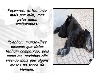 Peço-vos, então, não mais por mim, mas pelos meus irmãozinhos: "Senhor, mande-lhes pessoas que deles tenham compaixão, pois como eu, sozinhos não viverão mais que alguns meses na terra do Homem. 