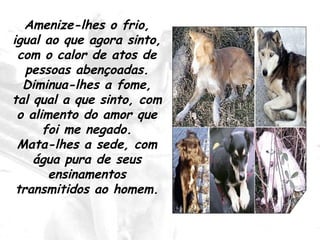 Amenize-lhes o frio, igual ao que agora sinto, com o calor de atos de pessoas abençoadas. Diminua-lhes a fome, tal qual a que sinto, com o alimento do amor que foi me negado. Mata-lhes a sede, com água pura de seus ensinamentos transmitidos ao homem. 