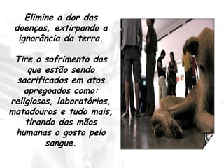 Elimine a dor das doenças, extirpando a ignorância da terra. Tire o sofrimento dos que estão sendo sacrificados em atos apregoados como: religiosos, laboratórios, matadouros e tudo mais, tirando das mãos humanas o gosto pelo sangue. 