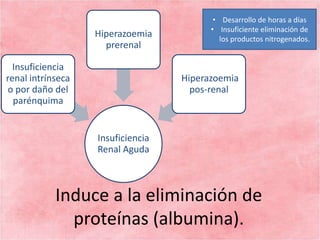 Preeclampsia eclampsia 