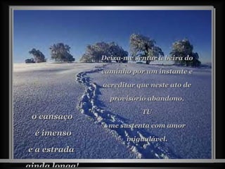 o cansaço é imenso e a estrada  ainda longa! Deixa-me sentar à beira do caminho por um instante e acreditar que neste ato de provisório abandono, TU  me sustenta com amor inigualável. 