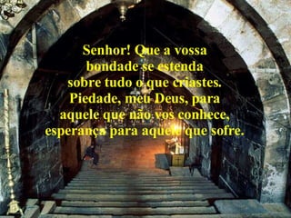 Senhor! Que a vossa bondade se estenda sobre tudo o que criastes. Piedade, meu Deus, para aquele que não vos conhece, esperança para aquele que sofre. 