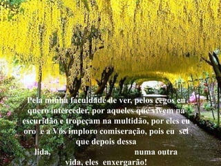 Pela minha faculdade de ver, pelos cegos eu
quero interceder, por aqueles que vivem na
escuridão e tropeçam na multidão, por eles eu
oro e a Vós imploro comiseração, pois eu sei
que depois dessa
lida, numa outra
vida, eles enxergarão!
 