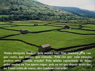 Muito obrigado Senhor, pela minha voz! Mas também pela voz
que canta, que ensina, que consola. Pela voz que com emoção,
profere uma sentida oração! Pela minha capacidade de falar,
pelos mudos eu Vos quero rogar, pois eu sei que depois desta dor,
no Vosso reino de amor, eles também cantarão!
 