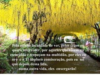 Pela minha faculdade de ver, pelos cegos eu quero interceder, por aqueles que vivem na escuridão e tropeçam na multidão, por eles eu oro  e a Ti imploro comiseração, pois eu  sei que depois dessa lida,  numa outra vida, eles  enxergarão!  