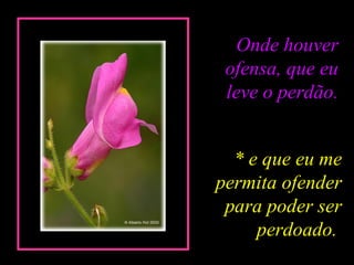 Onde houver
ofensa, que eu
leve o perdão.
* e que eu me
permita ofender
para poder ser
perdoado.
 