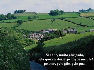 Senhor, muito obrigado,  pelo que me deste, pelo que me dás! pelo ar, pelo pão, pela paz! 