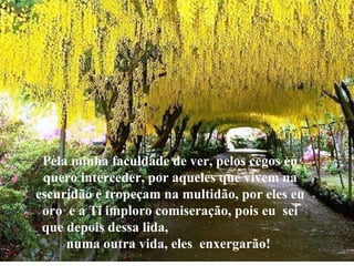 Pela minha faculdade de ver, pelos cegos eu quero interceder, por aqueles que vivem na escuridão e tropeçam na multidão, por eles eu oro  e a Ti imploro comiseração, pois eu  sei que depois dessa lida,  numa outra vida, eles  enxergarão!  