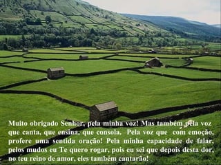 Muito obrigado Senhor, pela minha voz! Mas também pela voz  que canta, que ensina, que consola.  Pela voz que  com emoção, profere uma sentida oração! Pela minha capacidade de falar, pelos mudos eu Te quero rogar, pois eu sei que depois desta dor, no teu reino de amor, eles também cantarão! 
