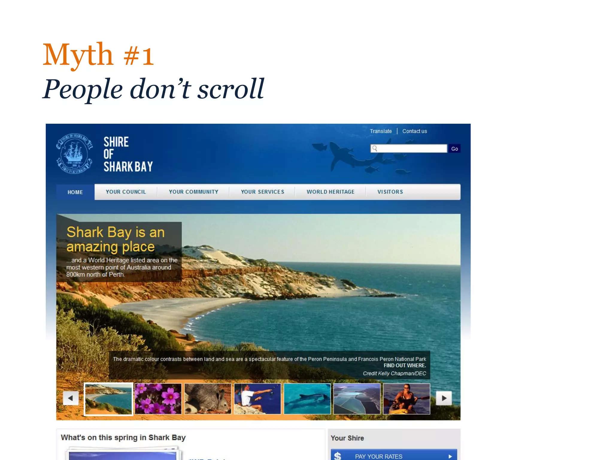 Myth #1
People don’t scroll
 