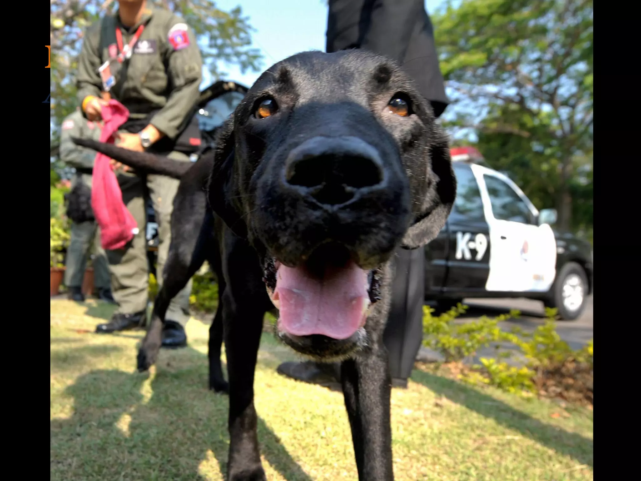 Myth #2
All pages should be accessible in 3 clicks
 