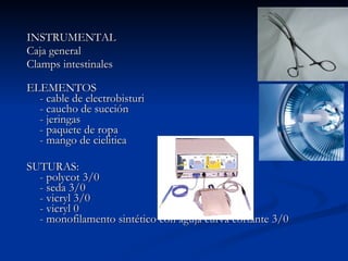 INSTRUMENTAL Caja general Clamps intestinales ELEMENTOS - cable de electrobisturi - caucho de succión - jeringas - paquete de ropa - mango de cielitica SUTURAS: - polycot 3/0  - seda 3/0  - vicryl 3/0  - vicryl 0  - monofilamento sintético con aguja curva cortante 3/0 