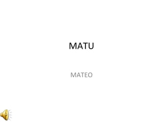 MATU
MATEO
 