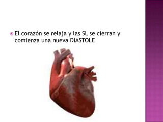  El
   corazón se relaja y las SL se cierran y
 comienza una nueva DIASTOLE
 