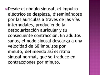  Desde el nódulo sinusal, el impulso
 eléctrico se desplaza, diseminándose
 por las auriculas a través de las vías
 internodales, produciendo la
 despolarización auricular y su
 consecuente contracción. En adultos
 sanos, el nodo sinusal descarga a una
 velocidad de 60 impulsos por
 minuto, definiendo así el ritmo
 sinusal normal, que se traduce en
 contracciones por minuto.
 