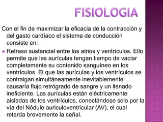 Con el fin de maximizar la eficacia de la contracción y
  del gasto cardíaco el sistema de conducción
  consiste en:
 Retraso sustancial entre los atrios y ventrículos. Ello
  permite que las aurículas tengan tiempo de vaciar
  completamente su contenido sanguíneo en los
  ventrículos. El que las aurículas y los ventrículos se
  contraigan simultáneamente inevitablemente
  causaría flujo retrógrado de sangre y un llenado
  ineficiente. Las aurículas están eléctricamente
  aisladas de los ventrículos, conectándose solo por la
  vía del Nódulo auriculoventricular (AV), el cual
  retarda brevemente la señal.
 