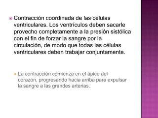  Contracción  coordinada de las células
 ventriculares. Los ventrículos deben sacarle
 provecho completamente a la presión sistólica
 con el fin de forzar la sangre por la
 circulación, de modo que todas las células
 ventriculares deben trabajar conjuntamente.


    La contracción comienza en el ápice del
     corazón, progresando hacia arriba para expulsar
     la sangre a las grandes arterias.
 