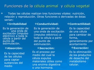 Funciones de la  célula animal   y  célula vegetal Todas las células realizan tres funciones vitales: nutrición, relación y reproducción. Otras funciones o derivadas de éstas serían: Es la generación de  una onda de excitación (impulso eléctrico) a toda la célula a partir del punto de estimulación.  Conductividad :   Es la generación de una onda de excitación (impulso eléctrico) a toda la célula a partir del punto de estimulación.  Contractilidad :   Es la capacidad de una célula para cambiar de forma, generalmente por acortamiento  Absorción :   Es la capacidad de las células para captar sustancias del medio  Secreción:   Es el proceso por medio del cual la célula expulsa materiales útiles como una enzima digestiva o una hormona.  Excreción :   Es la eliminación de los productos de desecho del metabolismo celular. Irritabilidad 