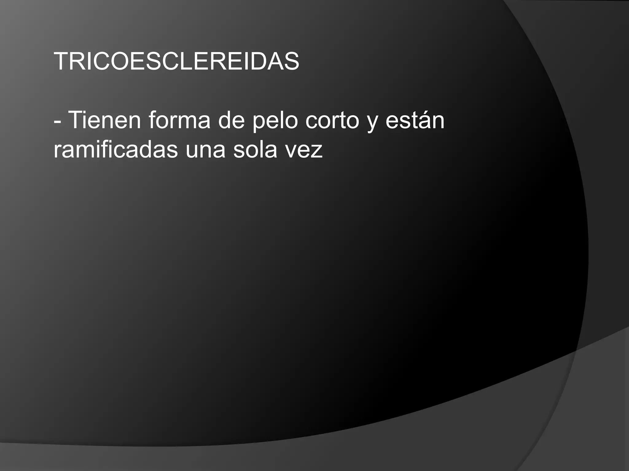 TEJIDO FUNDAMENTA ESCLERENQUIMA | PPT