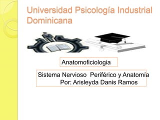 Universidad Psicología Industrial
Dominicana

Anatomoficiologia
Sistema Nervioso Periférico y Anatomía
Por: Arisleyda Danis Ramos

 