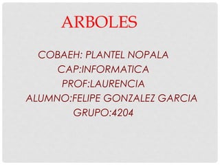ARBOLES
COBAEH: PLANTEL NOPALA
CAP:INFORMATICA
PROF:LAURENCIA
ALUMNO:FELIPE GONZALEZ GARCIA
GRUPO:4204
 