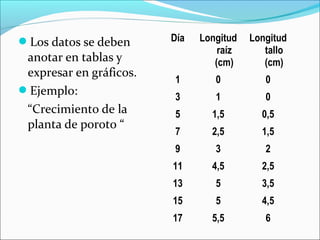 Los datos se deben
anotar en tablas y
expresar en gráficos.
Ejemplo:
“Crecimiento de la
planta de poroto “
Día Longitud
raíz
(cm)
Longitud
tallo
(cm)
1 0 0
3 1 0
5 1,5 0,5
7 2,5 1,5
9 3 2
11 4,5 2,5
13 5 3,5
15 5 4,5
17 5,5 6
 