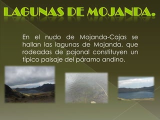 En el nudo de Mojanda-Cajas se
hallan las lagunas de Mojanda, que
rodeadas de pajonal constituyen un
típico paisaje del páramo andino.
 