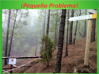¡Pequeño Problema! 
Como ya hemos comentado antes, el sendero tiene una ruta original que es La 
Caldera – Camino de los Guanches – Chimoche – Corona Forestal – El topo – Mamio – 
La Caldera, pero debido a los temporales que han habido, cuando nos íbamos a 
adentrar en la parte de El Topo, el sendero estaba cortado por el mal estado en el que 
había quedado la ruta por las numerosas lluvias. Debido a esto, tuvimos que hacer 
una ruta alternativa que consistía en empezar desde la Caldera, ir por el Camino de los 
Guanches, pasar por el área de descanso de Chimoche, empezar a subir por la corona 
forestal y llegadas al punto cortado (Portillo del Topo) dar la vuelta, bajar todo el 
camino realizado hasta Chimoche y desde ahi seguir bajando hasta la caldera por la 
pista. 
 