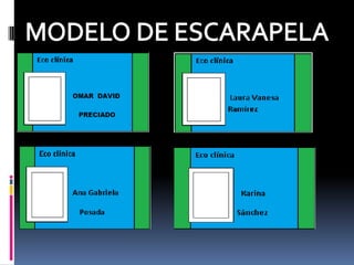 MODELO DE ESCARAPELA