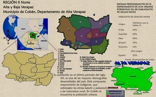 REGIÓN Il Norte
Alta y Baja Verapaz
Municipio de Cobán, Departamento de Alta Verapaz
IDIOMAS PREDOMINANTES EN EL
DEPARTAMENTO DE ALTA VERAPAZ
PORSENTAJE (%) DE HABLATANTES
DE LEGUAS MAYAS
HABLANTES DE LENGUAS MAYAS
Lengua
Habitantes que la
hablan %
K’iché 03%
Kaqchikel 02%
Mam 04%
Q’eqchí 52%
Pocomchi. 12%
Otra Lengua
Español 27%
Fuente: Municipalidad de Cobán
Su población en el último periodo del siglo
XX, es una de las mayores demografías
desarrolladas del país. Está compuesta
mayormente de indígenas, que
sobresalen las etnias kekchi y pokomchi,
y de naturaleza rural. En Cobán se
encuentra la población urbana.
 