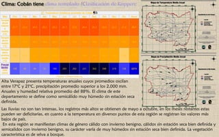 Clima: Cobán tiene
Parámetros climáticos promedio de Cobán
Mes Ene Feb Mar Abr May Jun Jul Ago Sep Oct Nov Dic Anual
Temper
atura
máxim
a
media
(°C)
21.7 23.4 24.5 25.2 25.2 24.7 23.9 24.4 24.3 23.4 22.3 21.6 23.7
Temper
atura
media
(°C)
16.1 17.3 18.3 19.4 20.0 20.3 19.8 19.9 19.8 18.9 17.6 16.7 18.7
Temper
atura
mínima
media
(°C)
10.5 11.2 12.1 13.7 14.9 16.0 15.7 15.4 15.4 14.4 13.0 11.8 13.7
Precipi
tación
total
(mm)
108 86 99 93 169 293 262 231 302 288 216 126 2273
Fuente: Climate-Data.org
Alta Verapaz presenta temperaturas anuales cuyos promedios oscilan
entre 17°C y 21°C, precipitación promedio superior a los 2,000 mm.
Anuales y humedad relativa promedio del 88%. El clima de este
departamento se define como semicálido muy húmedo sin estación seca
definida.
Las lluvias no son tan intensas, los registros más altos se obtienen de mayo a octubre, en los meses restantes estas
pueden ser deficitarias, en cuanto a la temperatura en diversos puntos de esta región se registran los valores más
bajos de país.
En esta región se manifiestan climas de género cálido con invierno benigno, cálidos sin estación seca bien definida y
semicalidos con invierno benigno, su carácter varía de muy húmedos sin estación seca bien definida. La vegetación
característica es de selva a bosque.
 