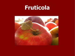 Fruticola 