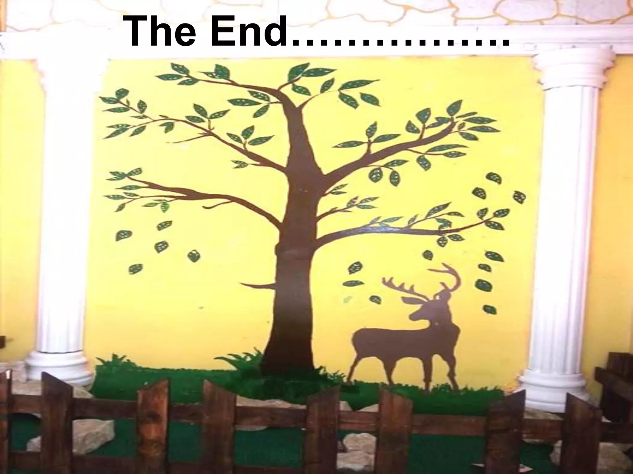 13
The End…………….
 