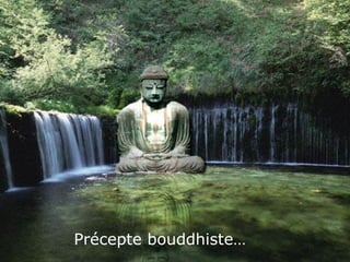 Précepte bouddhiste…   