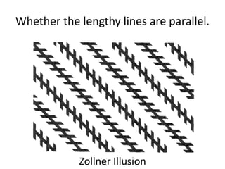 Whether the lengthy lines are parallel.
Zollner Illusion
 