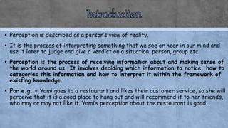 Perception - Individual Behavior (Organisation Behavior) | PPTX