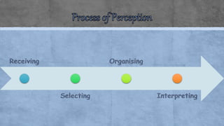 Perception - Individual Behavior (Organisation Behavior) | PPTX