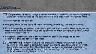 Perception - Individual Behavior (Organisation Behavior) | PPTX