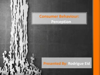 Consumer Behaviour:
     Perception




 Presented By: Rodrigue Eid
 