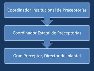 Coordinador Institucional de Preceptorías



  Coordinador Estatal de Preceptorías



   Gran Preceptor, Director del plantel
 