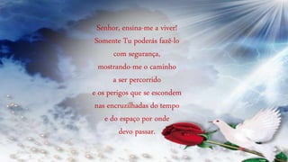 Senhor, ensina-me a viver!
Somente Tu poderás fazê-lo
com segurança,
mostrando-me o caminho
a ser percorrido
e os perigos que se escondem
nas encruzilhadas do tempo
e do espaço por onde
devo passar.
 