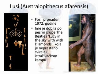 Lusi (Australopithecus afarensis)
• Fosil pronađen
1972. godine.
• Ime je dobila po
pesmi grupe The
Beatles ‘Lucy in
the sky with with
Diamonds’’ koja
je neprestano
svirala u
istraživačkom
kampu.
 