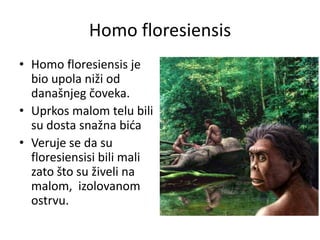 Homo floresiensis
• Homo floresiensis je
bio upola niži od
današnjeg čoveka.
• Uprkos malom telu bili
su dosta snažna bida
• Veruje se da su
floresiensisi bili mali
zato što su živeli na
malom, izolovanom
ostrvu.

 
