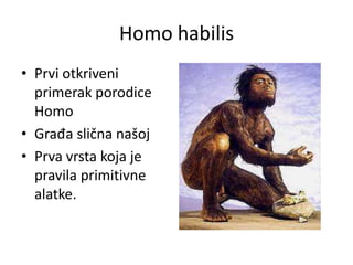 Homo habilis
• Prvi otkriveni
primerak porodice
Homo
• Građa slična našoj
• Prva vrsta koja je
pravila primitivne
alatke.

 